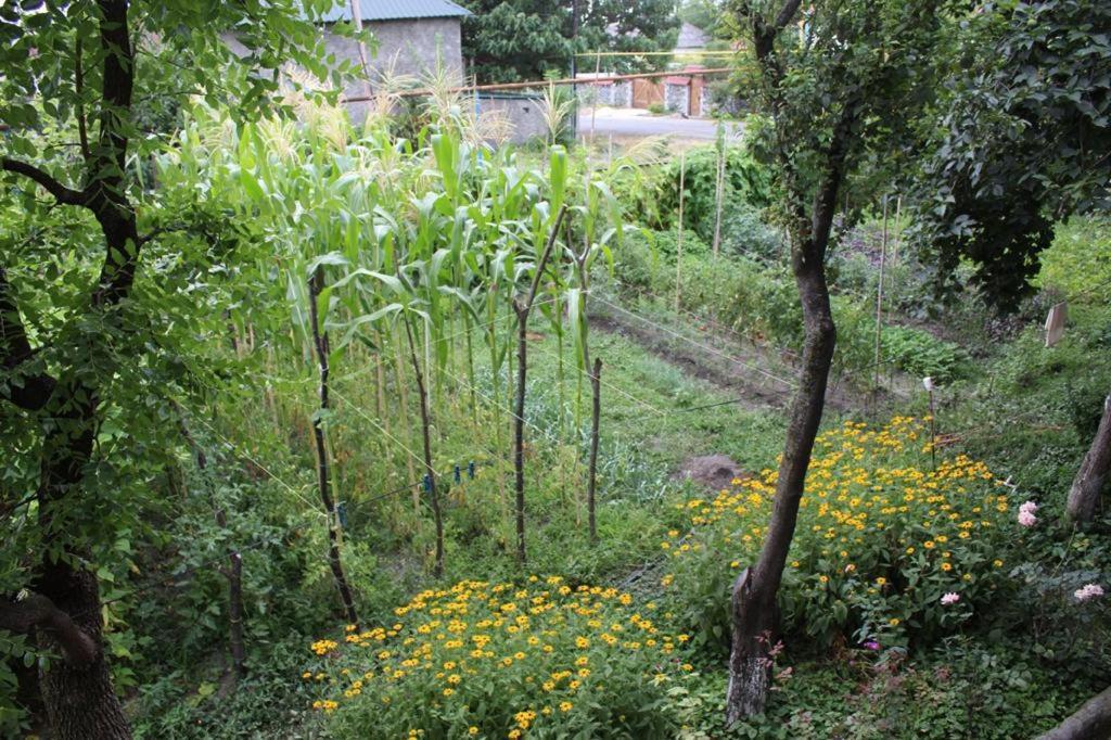 Green Corner Лагодехи Екстериор снимка