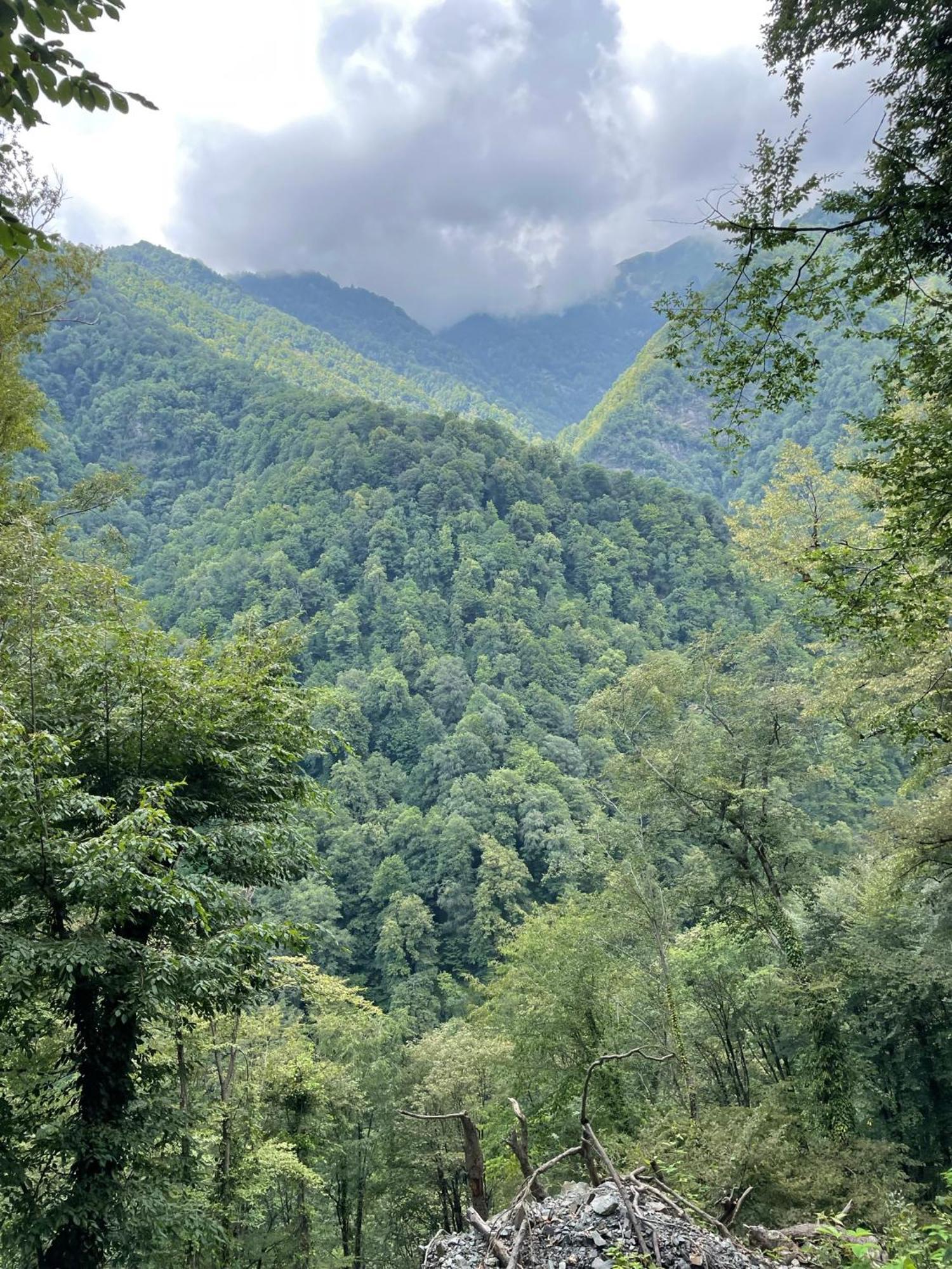 Green Corner Лагодехи Екстериор снимка